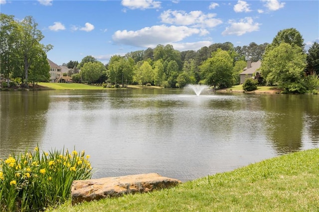 view of water feature