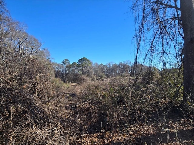 view of local wilderness