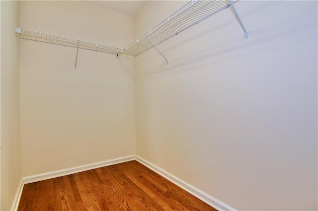 walk in closet featuring dark wood-type flooring