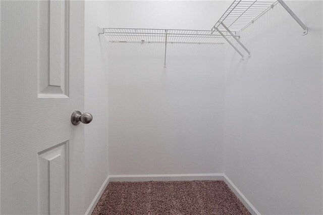 spacious closet featuring carpet