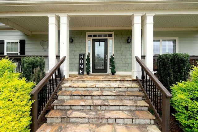 109 Lighthorse Blvd, Mcdonough, GA 30252 - view of exterior entry featuring a porch