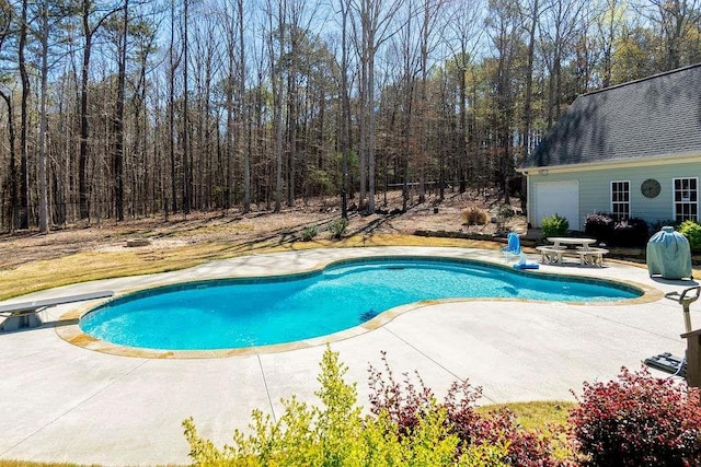 109 Lighthorse Blvd, Mcdonough, GA 30252 - outdoor pool with a patio and a diving board