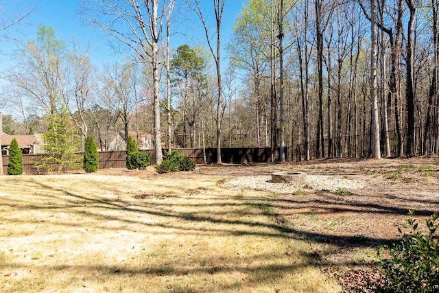 109 Lighthorse Blvd, Mcdonough, GA 30252 - view of yard