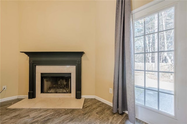 room details with a fireplace, baseboards, and wood finished floors