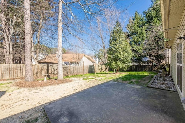 view of yard featuring a fenced backyard and a patio