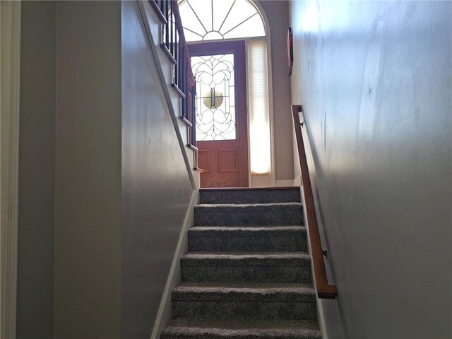 stairs with carpet