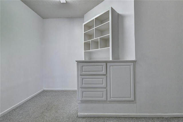 spacious closet with light carpet