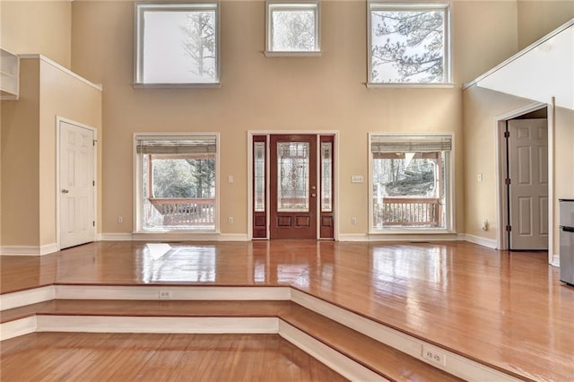 foyer entrance featuring hardwood / wood-style flooring and a towering ceiling