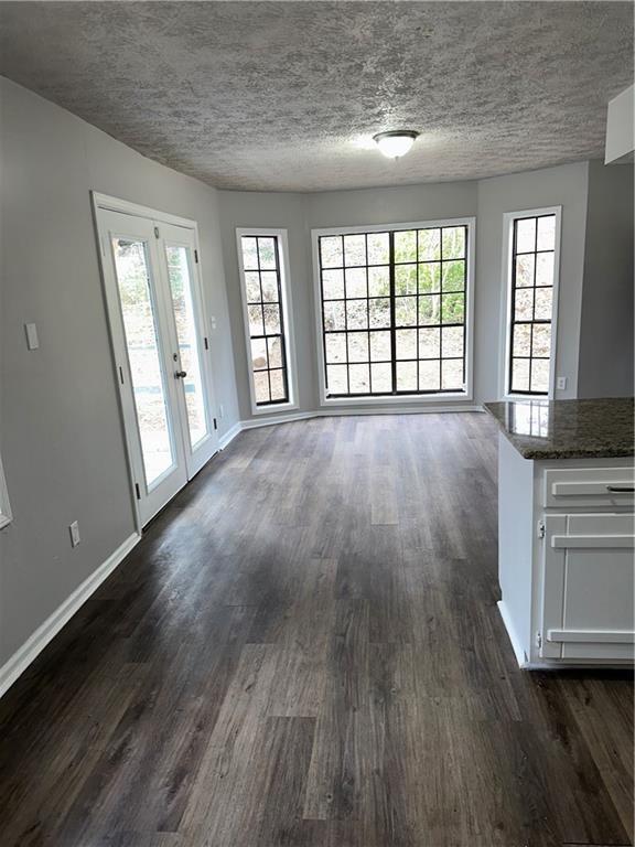 interior space featuring dark wood-type flooring and french doors