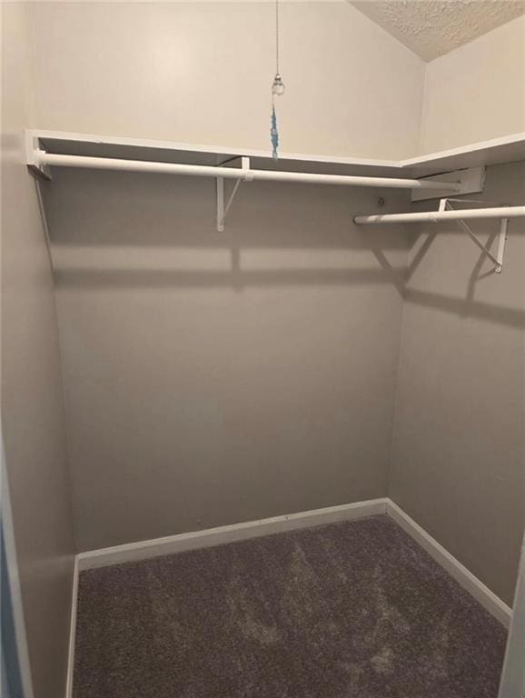 walk in closet featuring carpet floors