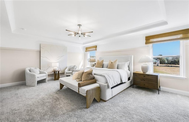 112 Jane Blvd NW, Cartersville, GA 30120 - bedroom with a raised ceiling, a chandelier, carpet, and multiple windows
