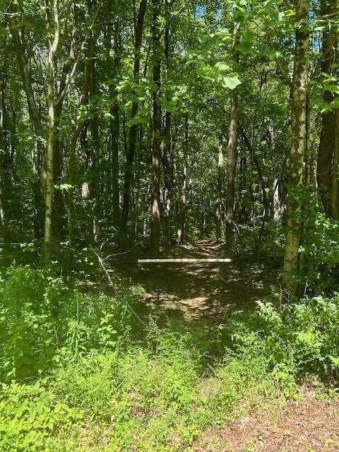 0 Burnt Mountain Rd, Ellijay GA, 30536 land for sale