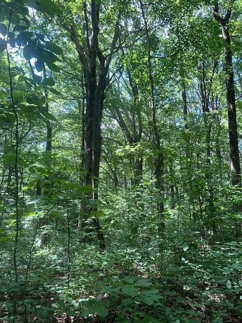 Listing photo 2 for 0 Burnt Mountain Rd, Ellijay GA 30536