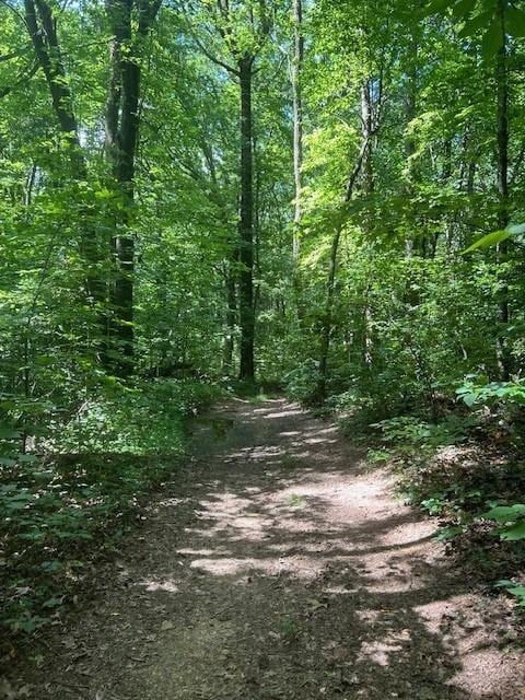 Listing photo 3 for 0 Burnt Mountain Rd, Ellijay GA 30536