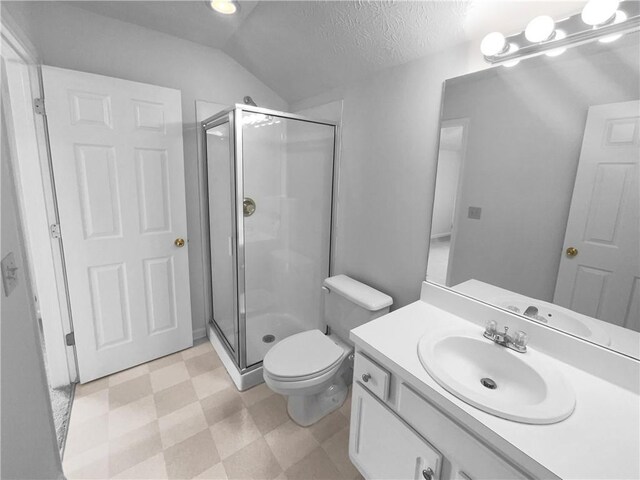 bathroom featuring vanity, lofted ceiling, toilet, a textured ceiling, and a shower with shower door