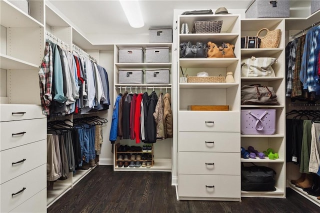 119 Sharp Mountain Crk, Ball Ground, GA 30107 - spacious closet with wood finished floors
