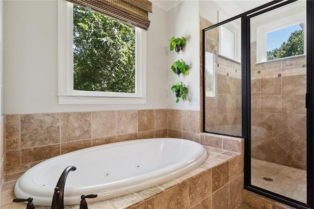 119 Sharp Mountain Crk, Ball Ground, GA 30107 - full bath featuring a jetted tub, plenty of natural light, a shower stall, and ornamental molding