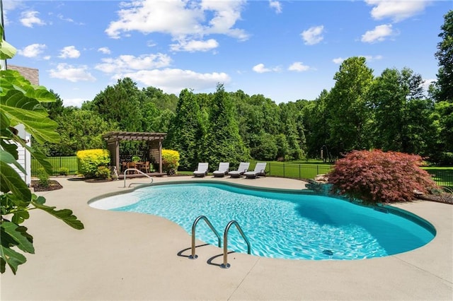 119 Sharp Mountain Crk, Ball Ground, GA 30107 - view of swimming pool with a patio