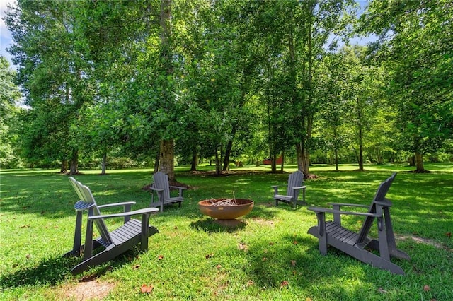 119 Sharp Mountain Crk, Ball Ground, GA 30107 - view of community with a fire pit, a lawn, and view of scattered trees