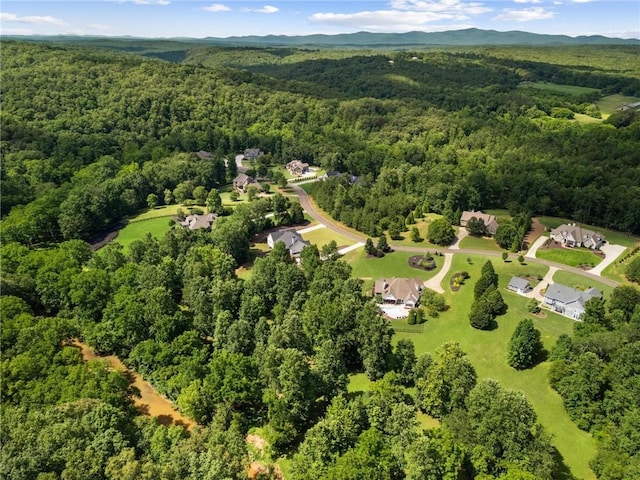 119 Sharp Mountain Crk, Ball Ground, GA 30107 - aerial view of property's location with a forest