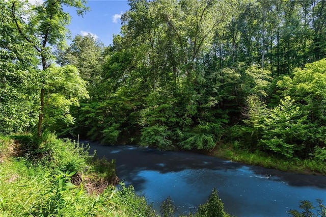 119 Sharp Mountain Crk, Ball Ground, GA 30107 - water view with a forest
