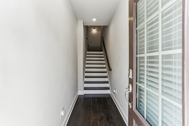 spacious closet with carpet