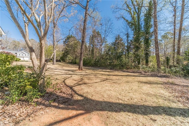 45 Somerset Ct, Covington, GA 30016 - view of yard