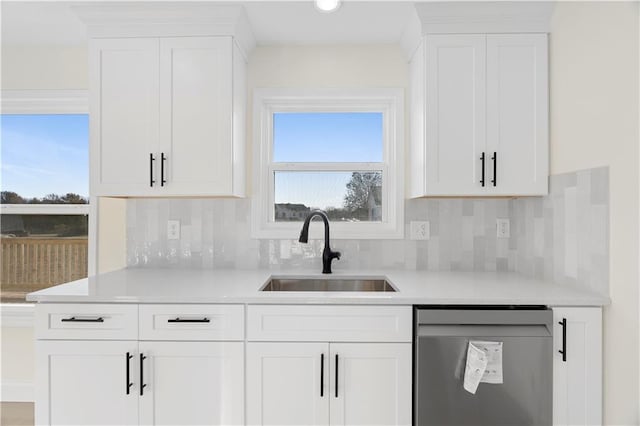 kitchen featuring white cabinetry, sink, and stainless steel dishwasher