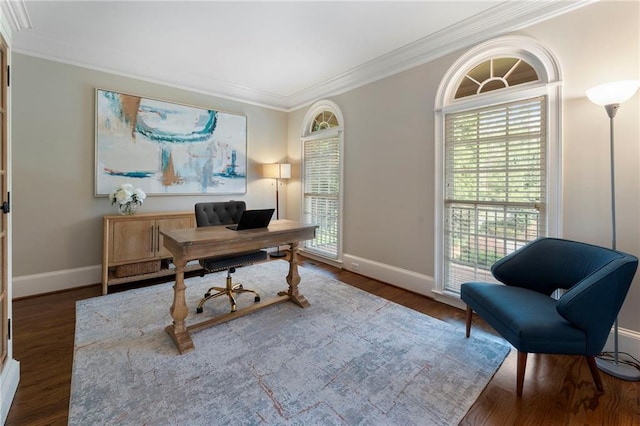 10135 High Falls Pointe Pointe, Johns Creek, GA 30022 - office with ornamental molding, wood finished floors, and baseboards