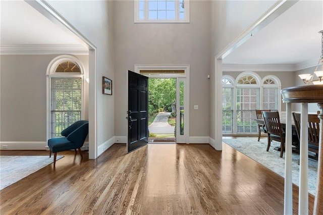 10135 High Falls Pointe Pointe, Johns Creek, GA 30022 - entrance foyer featuring wood finished floors, a chandelier, plenty of natural light, a high ceiling, and ornamental molding