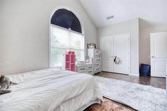 bedroom featuring wood finished floors, a closet, and high vaulted ceiling