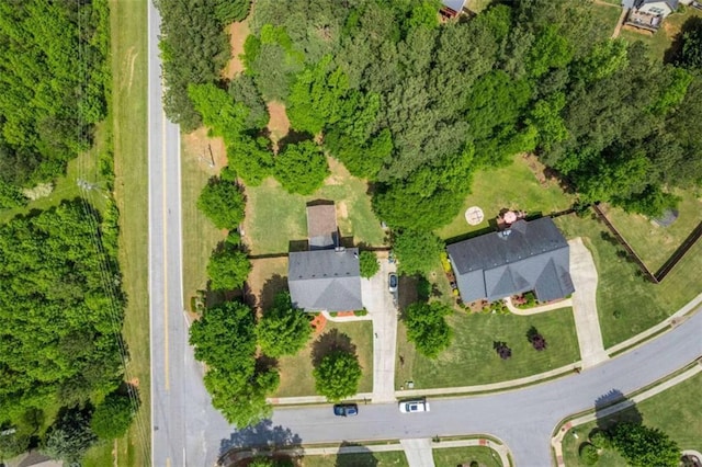 bird's eye view