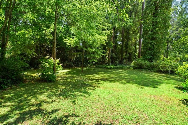 1492 Sagewood Cir, Stone Mountain, GA 30083 - view of green lawn featuring a view of trees