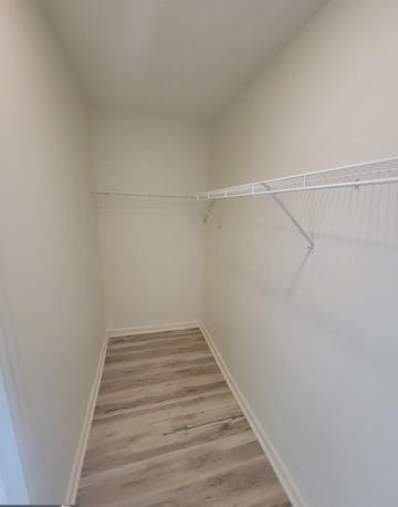 walk in closet with wood finished floors