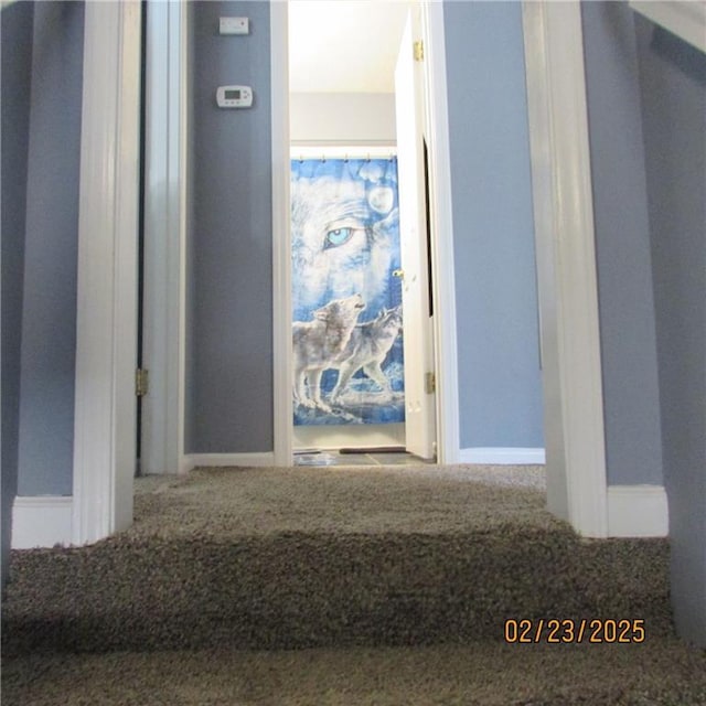 corridor featuring baseboards and carpet floors