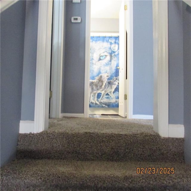 corridor with baseboards and carpet