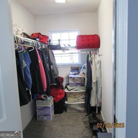 spacious closet with carpet