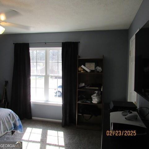 bedroom featuring carpet flooring