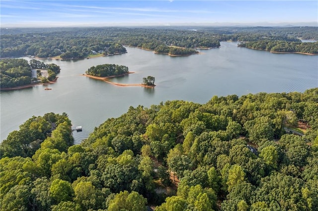 birds eye view of property with a water view and a wooded view