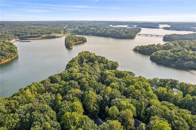 birds eye view of property with a water view and a wooded view