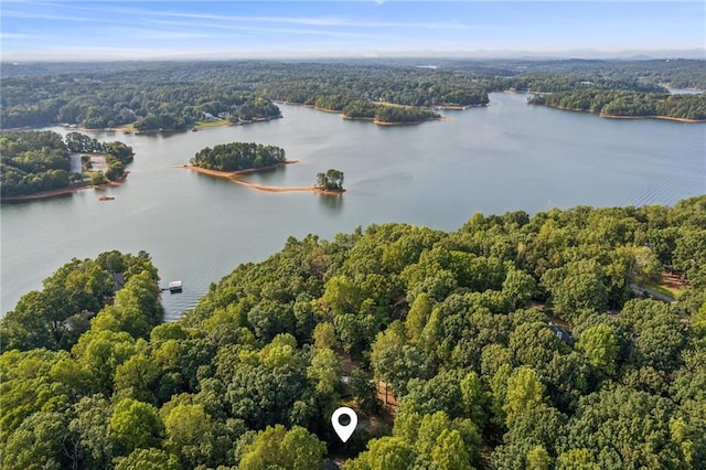 drone / aerial view featuring a water view and a wooded view