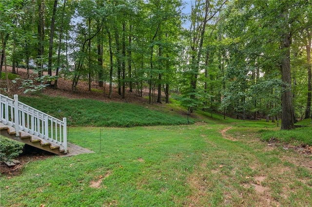 view of yard featuring stairs