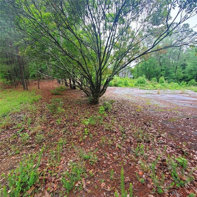 737 Deering Rd SE, Conyers, GA 30094