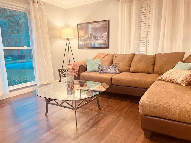 3629 Embry Cir, Atlanta, GA 30341 - living room featuring ornamental molding and wood finished floors
