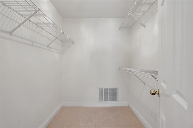 walk in closet featuring carpet floors