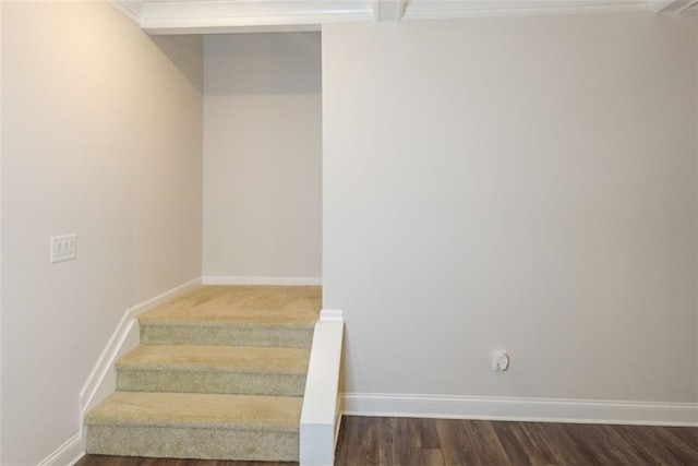 stairway with wood-type flooring and crown molding