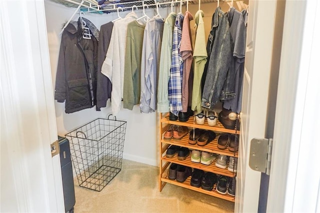 spacious closet featuring carpet