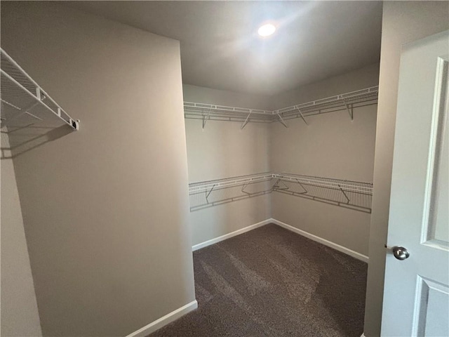 spacious closet featuring carpet floors