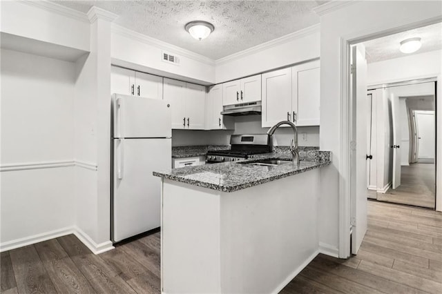 1931 Brian Way, Decatur, GA 30033 - kitchen featuring freestanding refrigerator, stainless steel range with gas stovetop, dark stone countertops, under cabinet range hood, and a sink