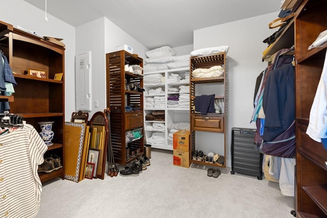 spacious closet with carpet